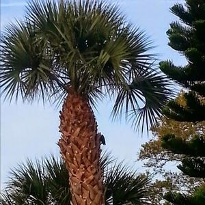 Meet your Posher, Jack